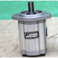 forklift parts 5F1DZ Hydraulic pump